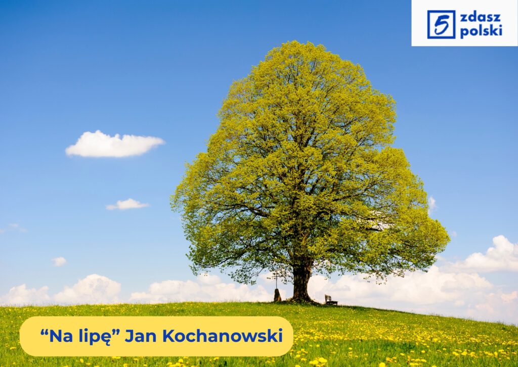 Fraszka "Na lipę" Jan Kochanowski